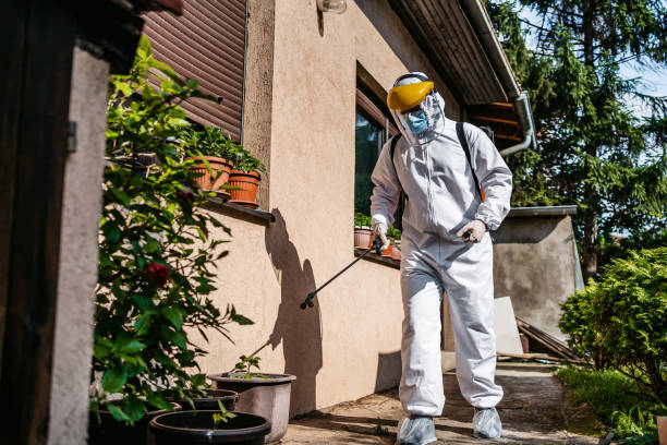 Best Pest Control Treatment  in Rosemount, OH