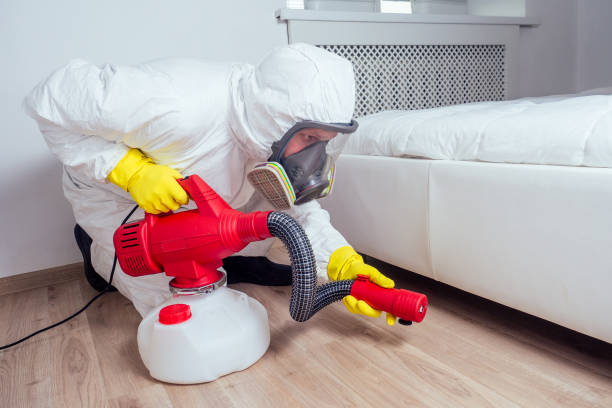 Best Bed Bug Extermination  in Rosemount, OH