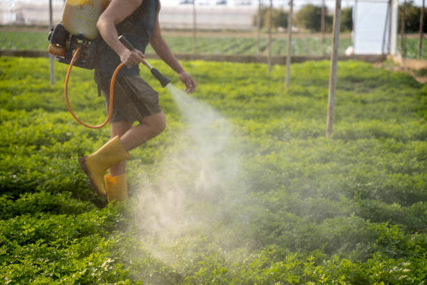 Professional Pest Control in Rosemount, OH