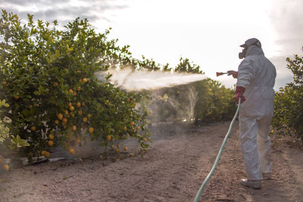 Best Local Pest Control Services  in Rosemount, OH