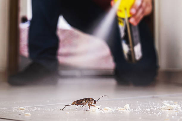Best Affordable Pest Control Services  in Rosemount, OH
