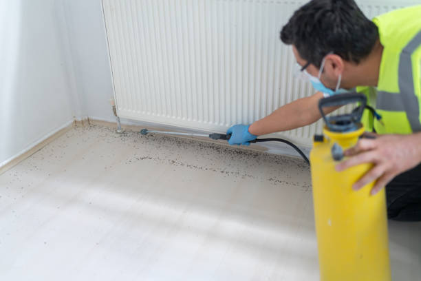 Best Best Pest Control Companies  in Rosemount, OH